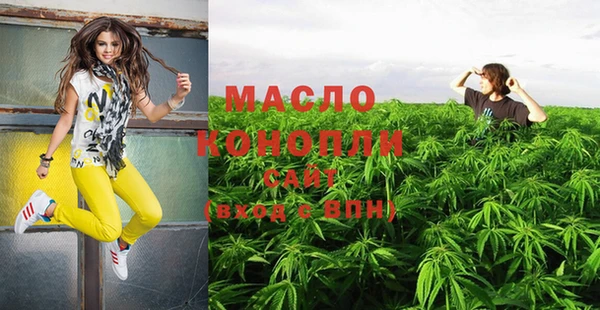 мдпв Бородино