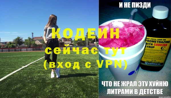 мдпв Бородино