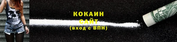 мдпв Бородино