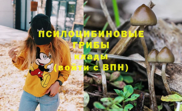 мдпв Бородино