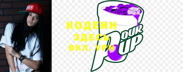 мдпв Бородино