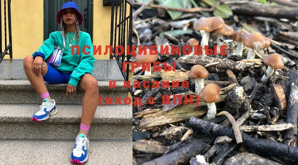 мдпв Бородино