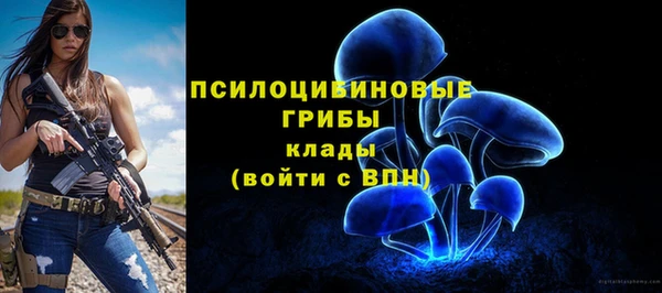 мдпв Бородино