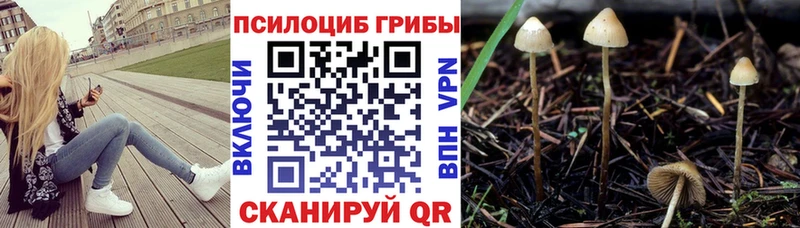 Галлюциногенные грибы ЛСД даркнет официальный сайт Ростов даркнет сайт mega ссылка